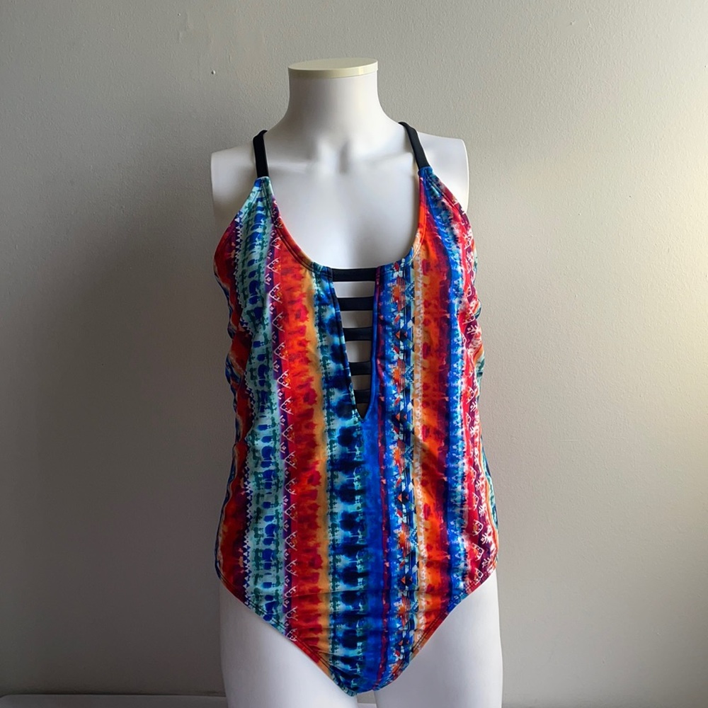 Brightly Coloured Swimsuit 1X